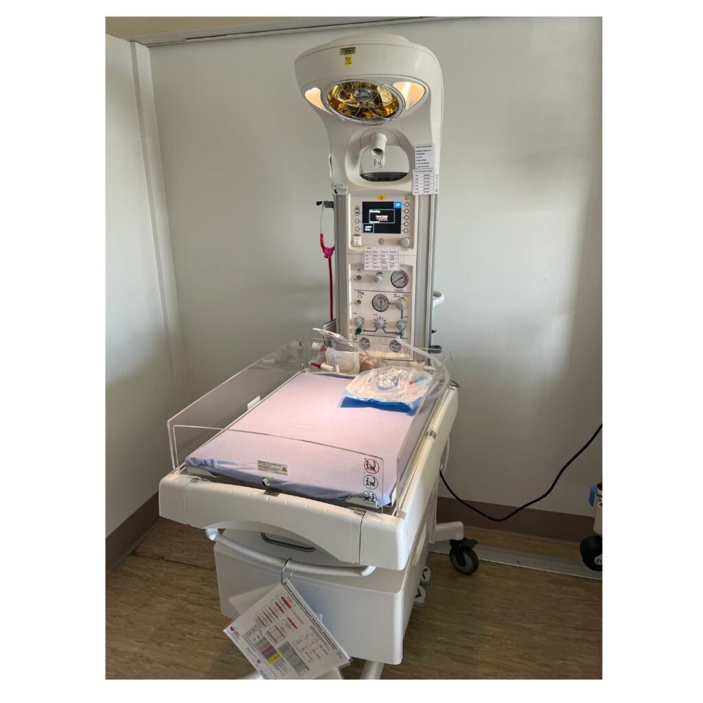 Panda Warmer 2026